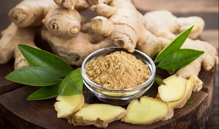 Ginger: Immunity के चक्कर में न खाएं ज्यादा Ginger, हो सकते हैं ऐसे 5 नुकसान